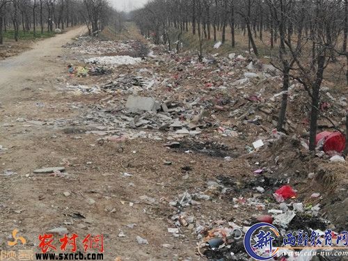 大荔县下寨镇李家村公路以北的垃圾填处理场